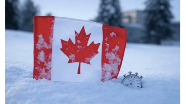 移民处理时间全面更新！哪些申请最受影响？