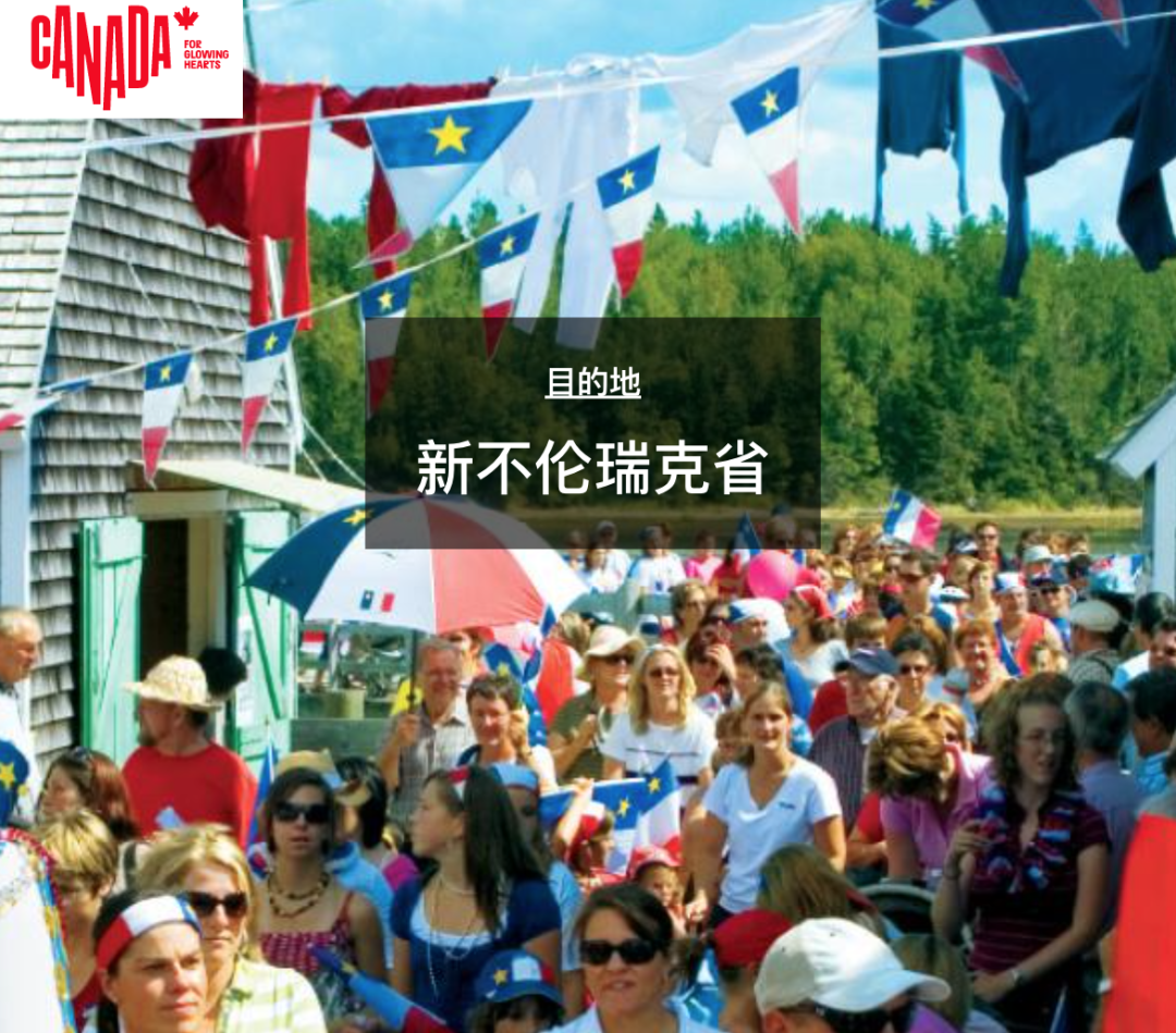 加拿大狂收新移民，各省放大招：0税收+最高薪资+低房价