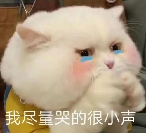EE抽签炸了,非定向职业分数狂飙至510分以上