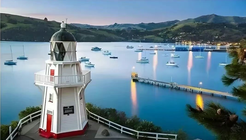 新西兰读硕VS冲绿单,2026最新路径指南