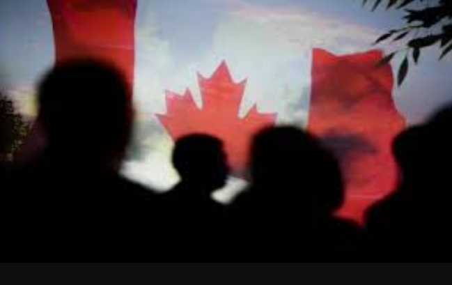 全网炸锅！印度难民涌入加拿大！