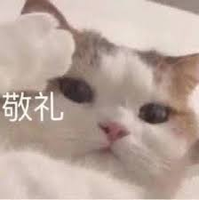 加拿大留学生回流指南：一篇搞清北上广落户政策！