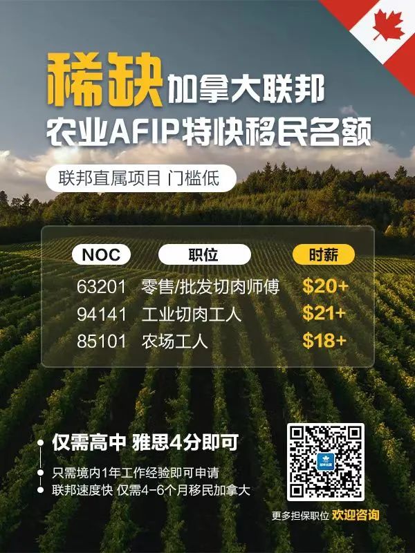 加拿大这项排名领跑全球！华人最关心的问题解决了！