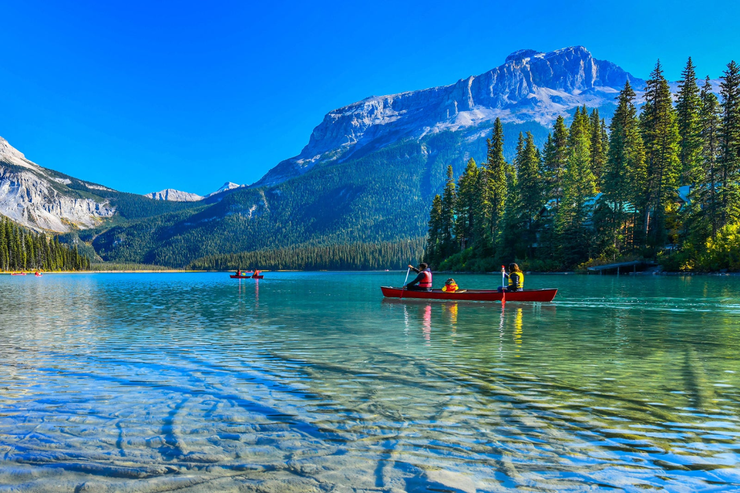 机会来了！加拿大免雅思移民配额翻倍！