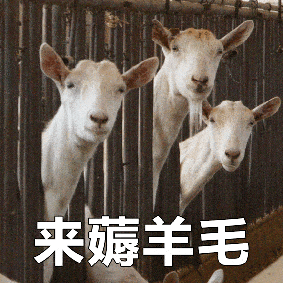 欧元暴跌至20年最低点！欧盟小国护照迎来抄底时机！