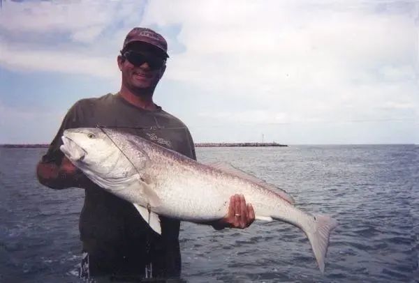 加拿大人最爱吃的五种鱼,华人竟很多没见过?