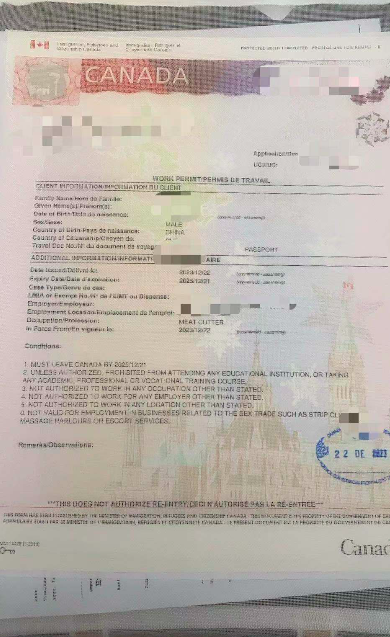 恭喜吴先生今天获得LMIA工签！