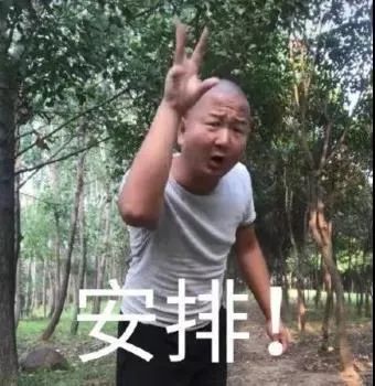移民部要给“网红”发枫叶卡，李子柒躺着也能申PR