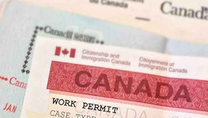 留学生工作时间不再受限,还有更多利好消息值得期待