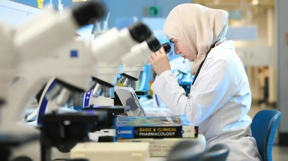 2026新西兰绿名单，新窗口已开启！获批率95%