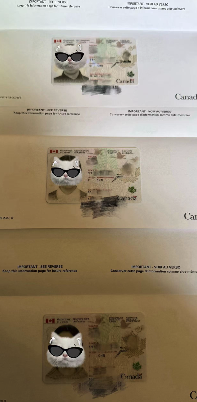 又一个家庭全部枫叶卡续卡成功收到全家枫叶卡 