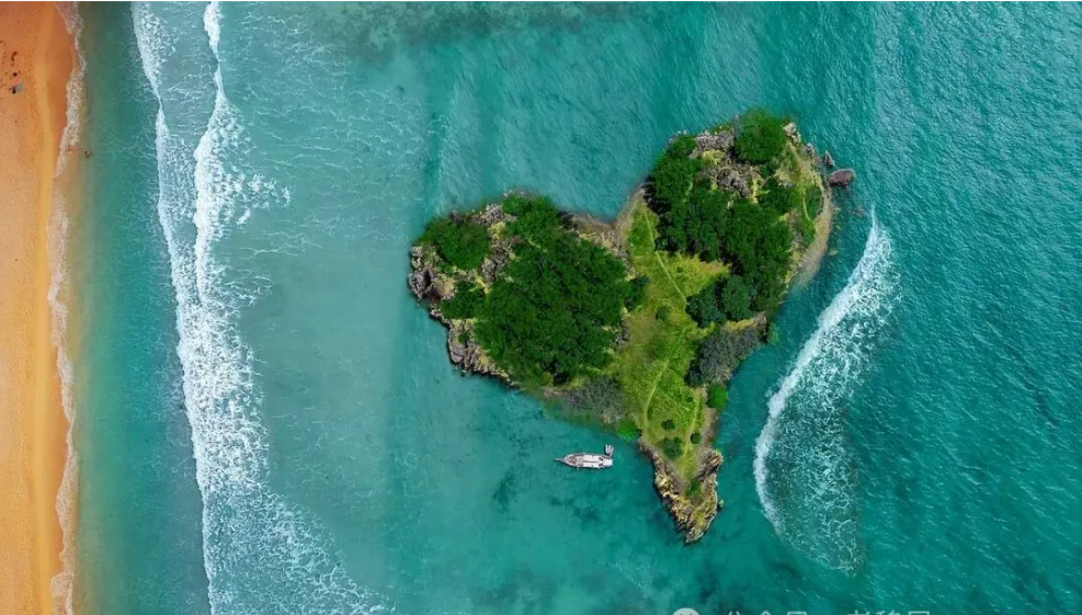 2026新西兰移民全方位解析！移民条件自测指南！