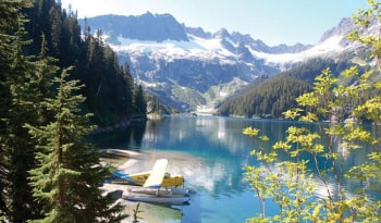 雇主移民担保为何成为首选?