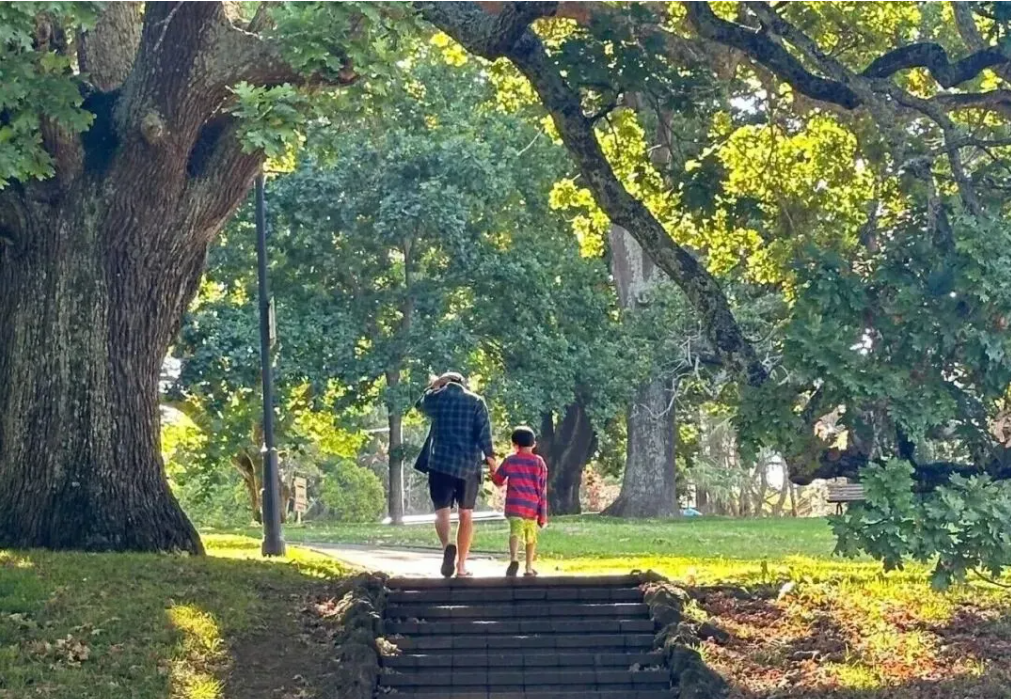 为什么聪明人都选新西兰?藏着你不知道的答案