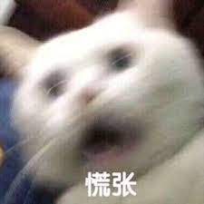 辟谣!加拿大读网课无法学历认证了?