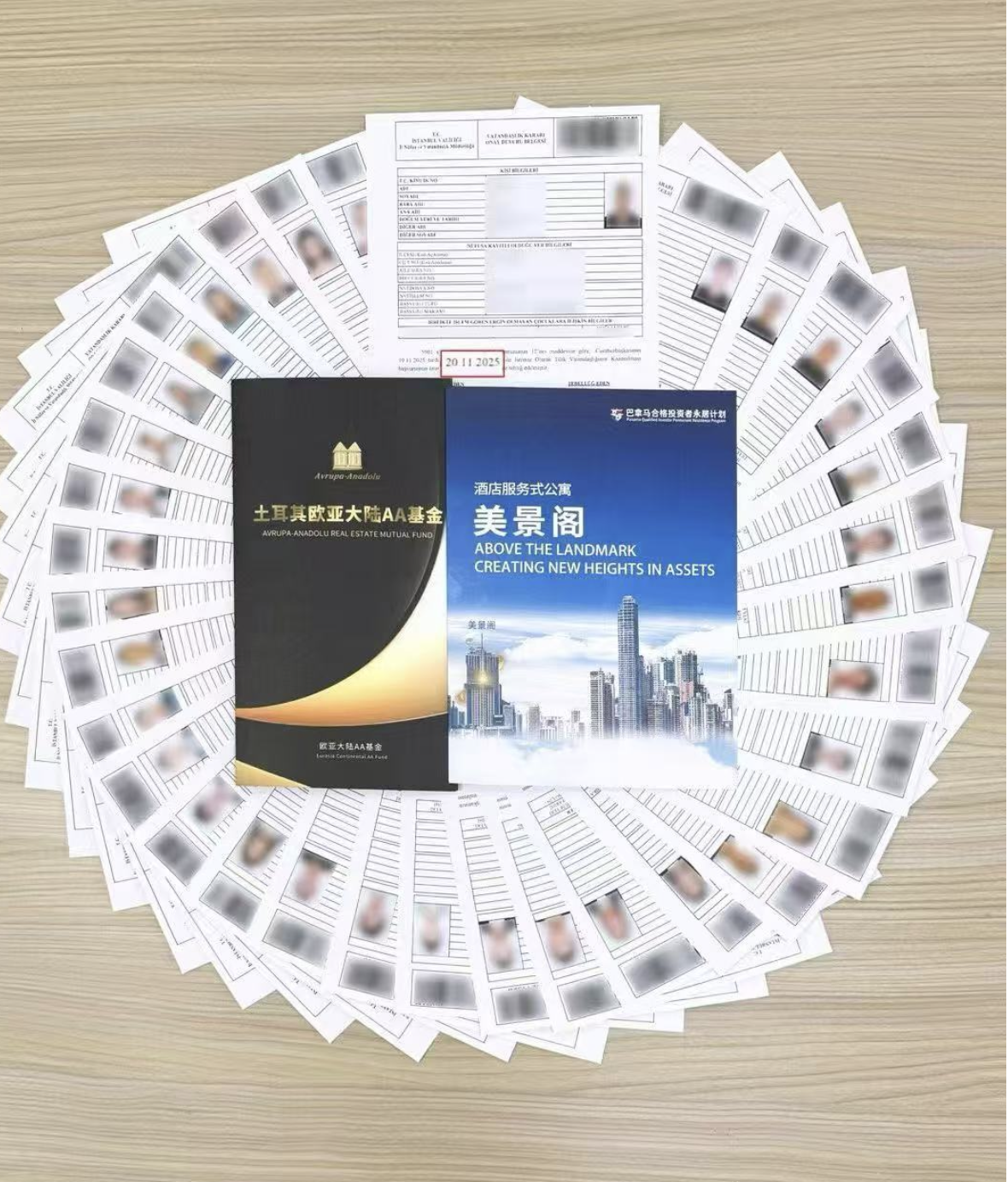 36 份土耳其获批函，有一组仅用6 个月