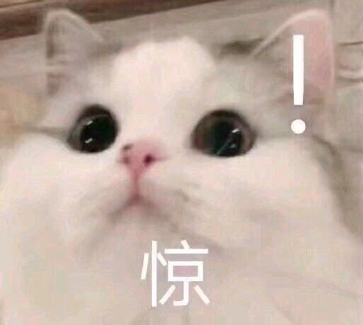 官网出bug！2023年QS排名提前泄露！