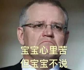看完加拿大骚操作，美澳新移民申请人不淡定了：为什么当初没来加拿大！！