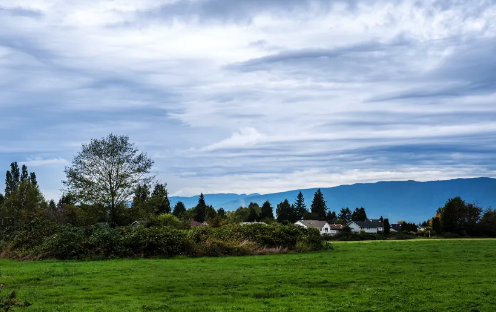加拿大BC省宣布提前大选！投票日锁定10月24日