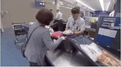 加拿大海关最近严查中国入境者行李!