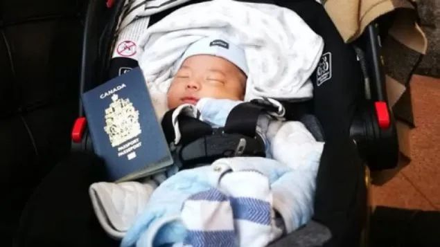 加拿大“生育游客”激增医生痛批：占用太多医疗资源