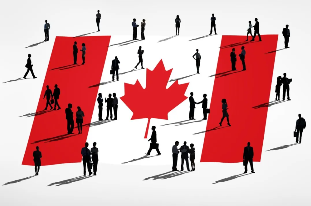 加拿大移民数据出炉:中国骤降30%,印度依旧领先