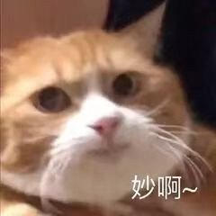 教育部官宣！加拿大留学生在国内读书也能拿境外文凭
