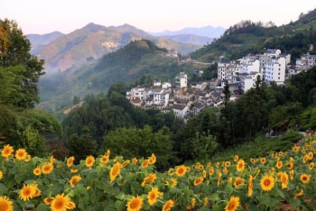 回国的朋友们要注意!最全的国内隔离政策