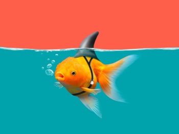 留学生们注意了！收到这些电话千万不要信！
