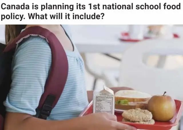 BC省将为中小学提供免费午餐，减少家长压力