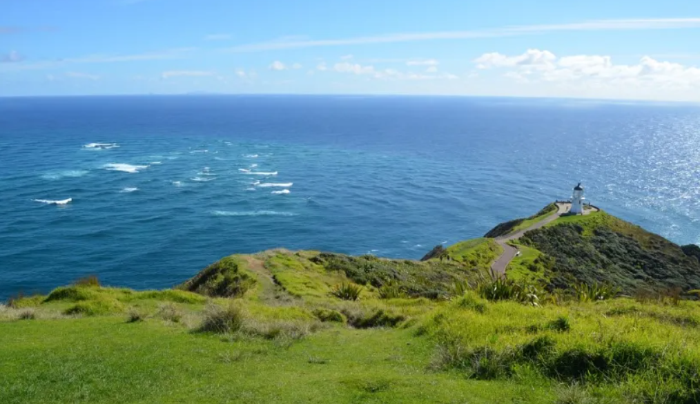 移民：新西兰认证雇主工签和居民签证是什么？