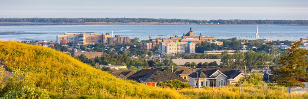 特定专业留学生学费骤降8倍