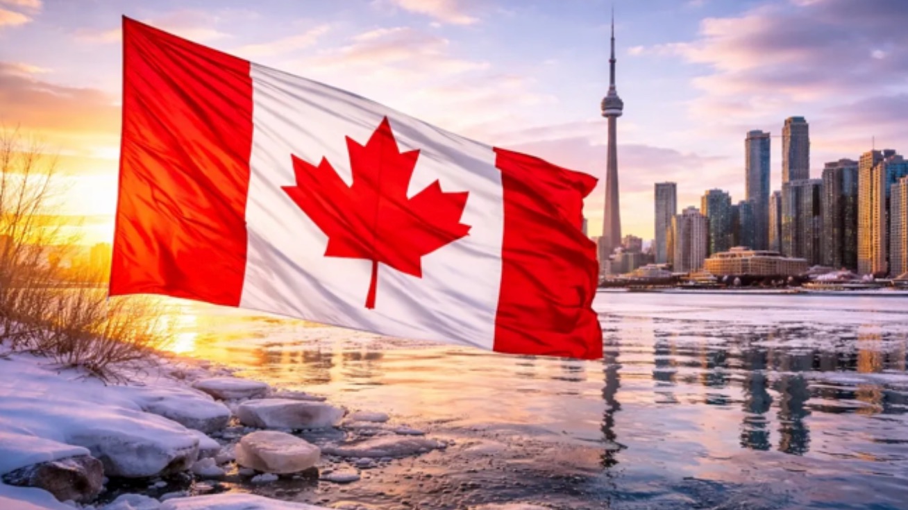 2月EE最新预测！分数会继续下跌吗？