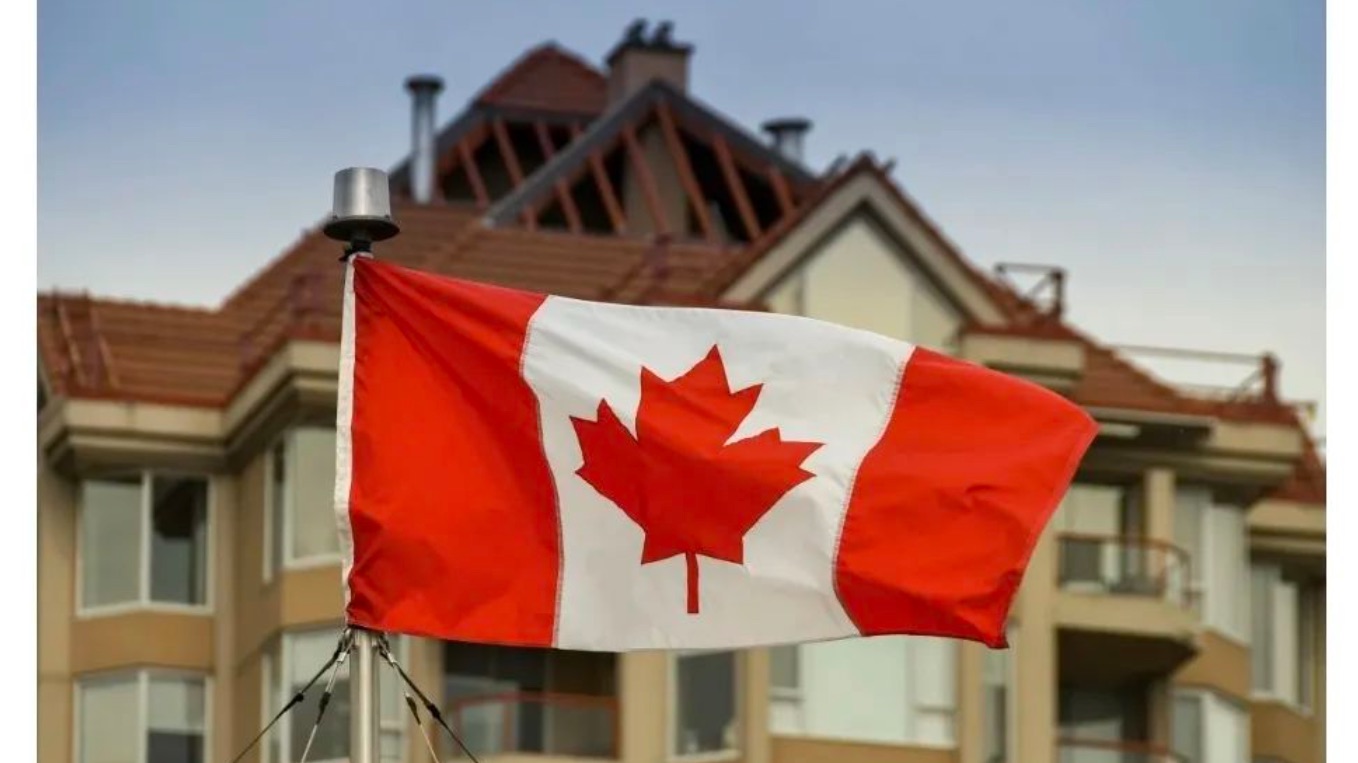 移民买房率竟超本地人？建筑行业正在迎来黄金时代！