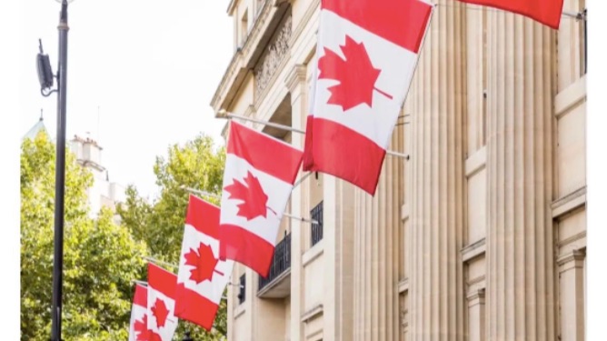 2025年各省PNP配额出炉！省提名名额减半！