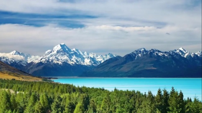 新西兰技术移民大变局：2026年8月落地