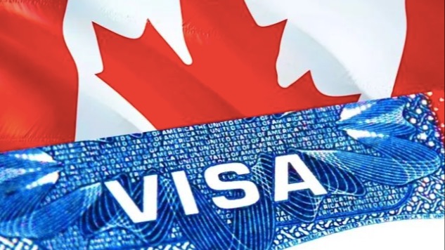 拒签率飙升！华人如何弯道超车拿PR？！