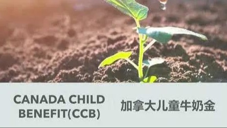 7月起，加拿大5大福利实施