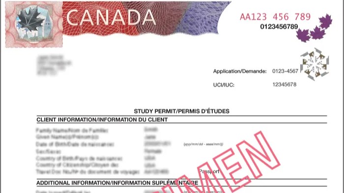 加拿大联邦自雇移民捷报，钢琴老师成功收到贴签信！