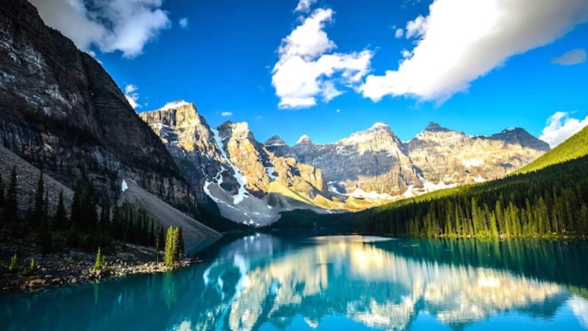 又捞人了！省提名成主力军！这类人优势明显！