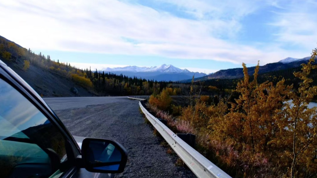 曼省最新重磅：配额上调30%，护理类强势领跑