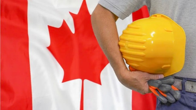 加拿大十大高需求技术行业：低分移民的黄金机遇！