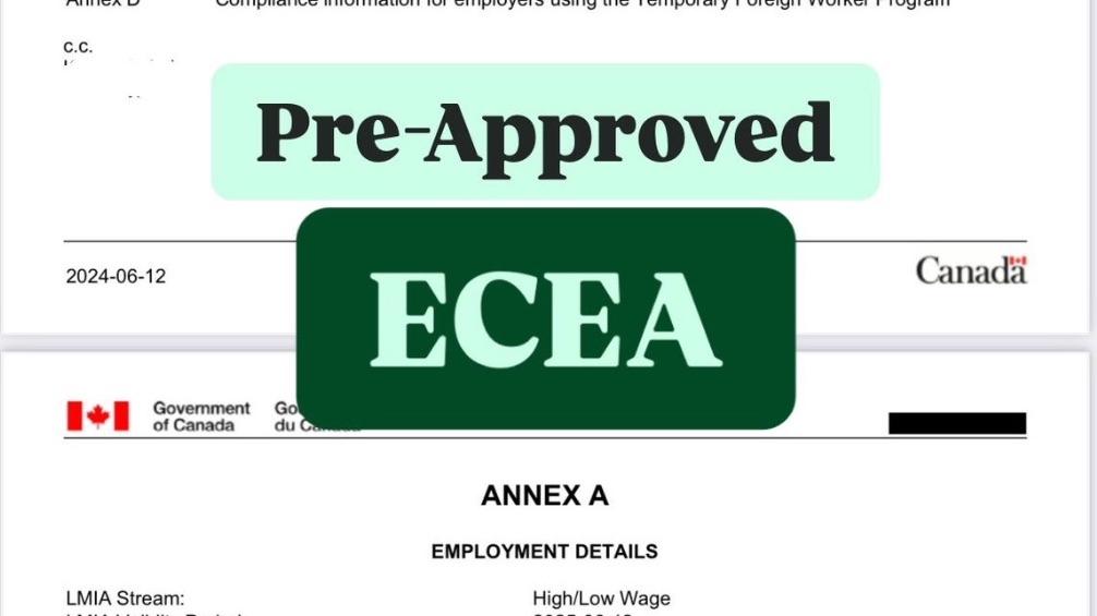 稀缺幼教助理岗位 LMIA，符合新出的保姆通道