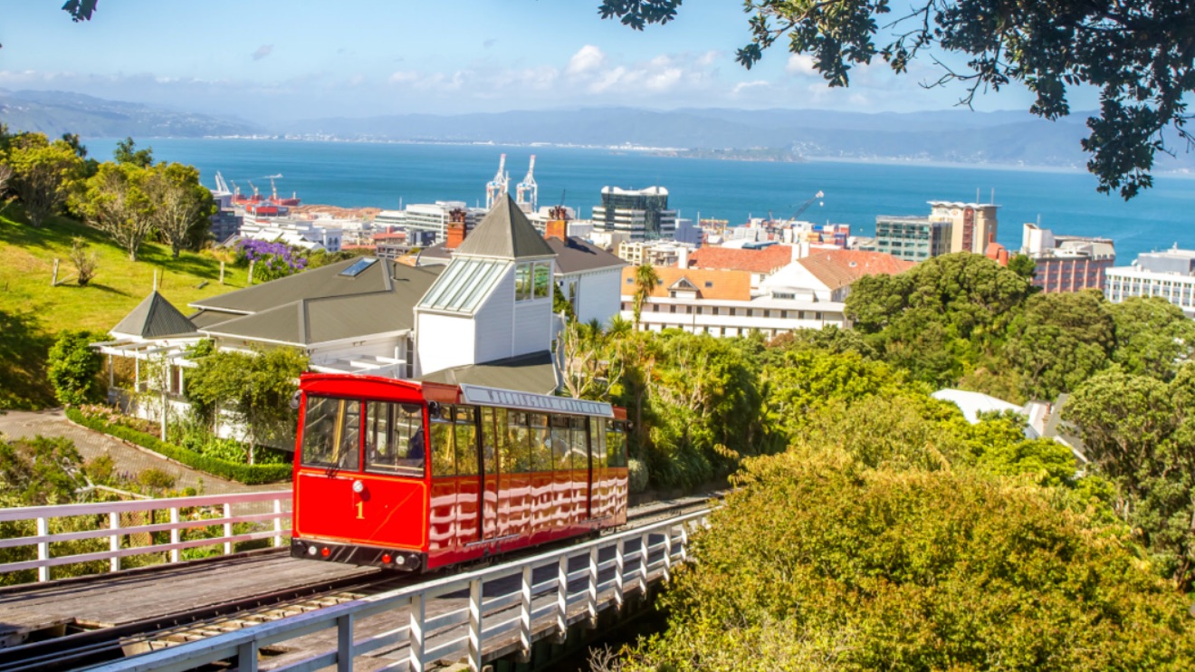 最快半年拿身份！新西兰“高薪直通居留”首选通道