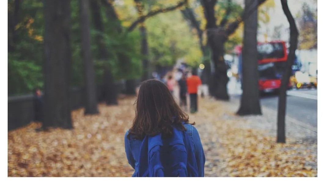 真相！ 加拿大留学生太多，枫叶卡名额远远不够！