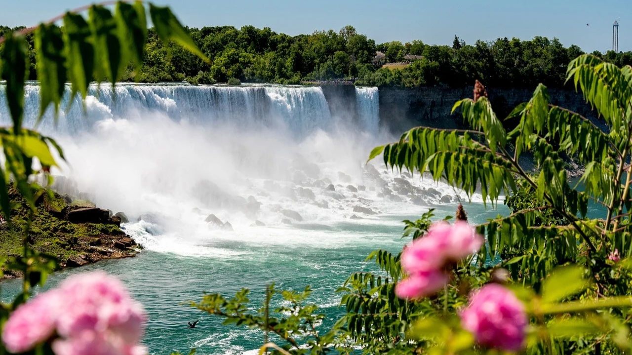 加拿大安省提名快速通道类定向邀请1287人