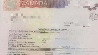 恭喜吴先生今天获得LMIA工签！