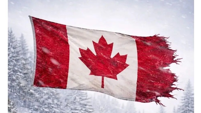 加拿大要清人了，100万印度裔成最大受冲击群体