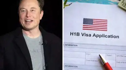 马斯克态度大转变：承认H-1B有问题！要大改！