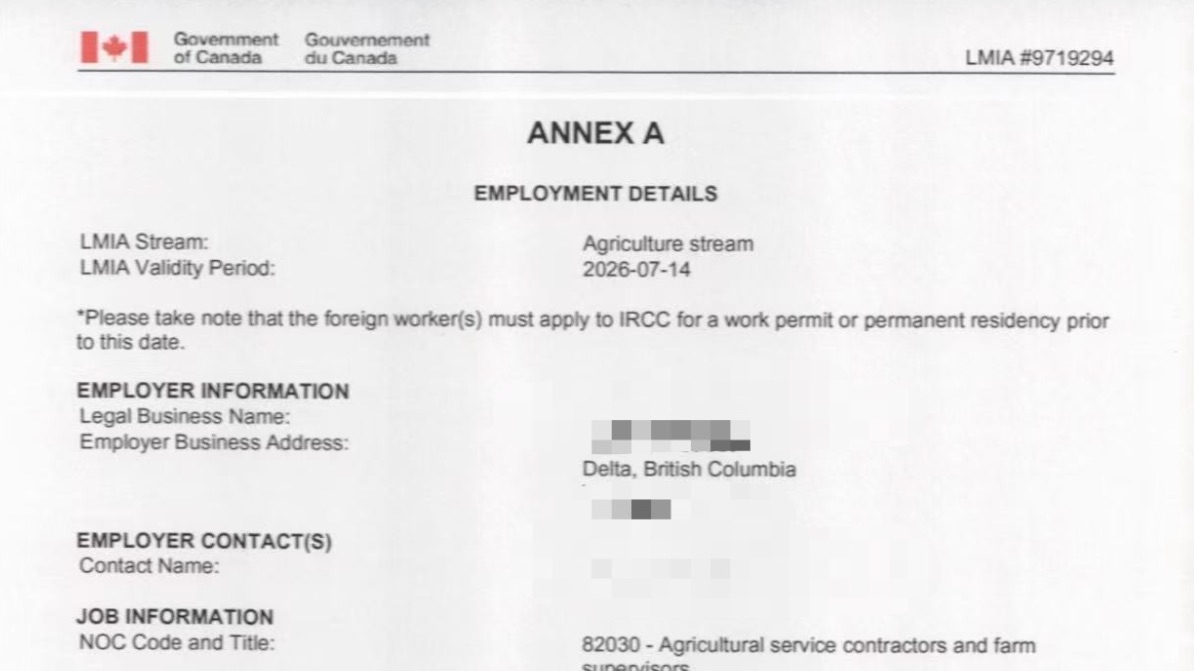 加拿大BC nelson小镇 农业主管LMIA 